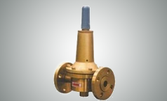 RTZ-※/0.6 Regulador de presión de gas licuado de tubería de alta presión